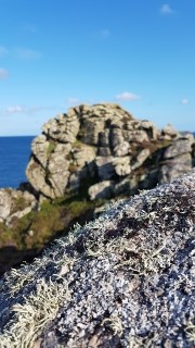 2019-08-12 18.05.05.jpg